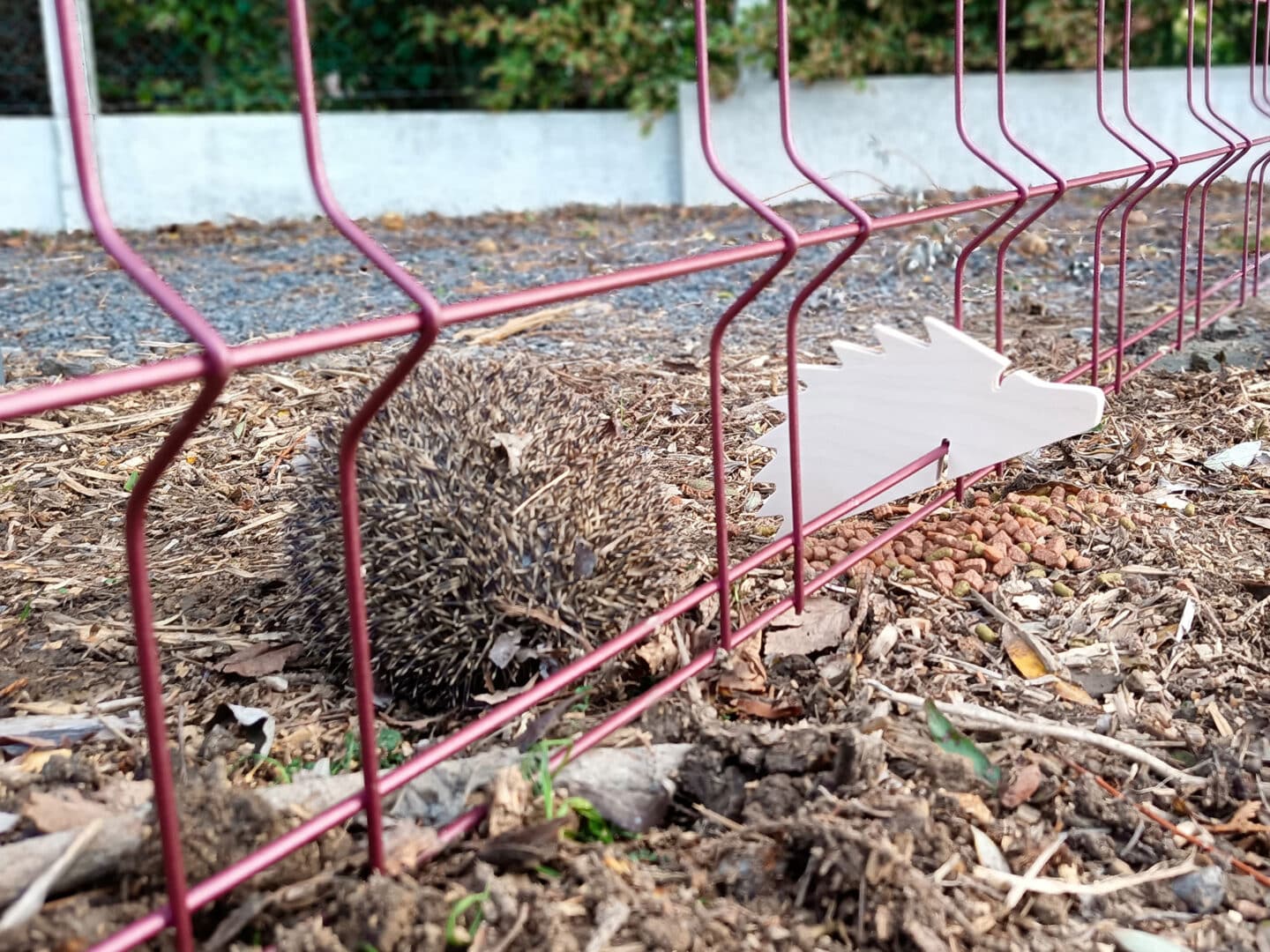 Panneau de clôture respectueux de l'environnement